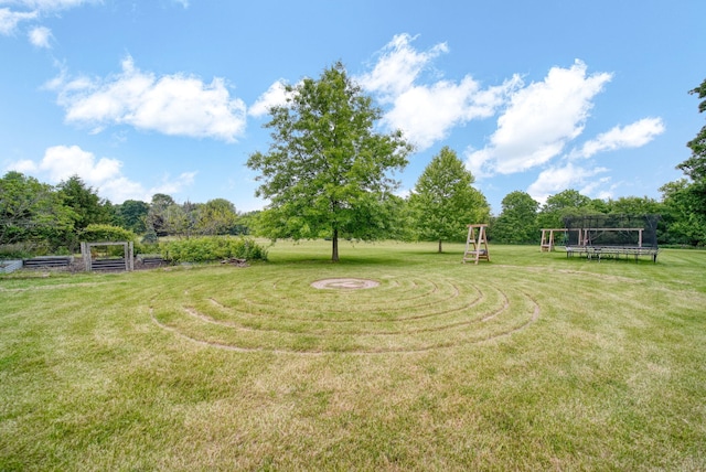 874 Pinecrest, Dexter, MI 48130 - view of green lawn