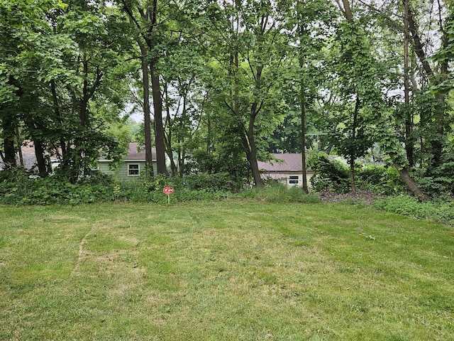 1406 Bixby Rd, Kalamazoo, MI 49048 - view of green lawn