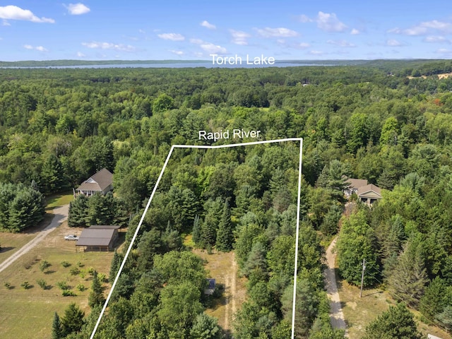 5636 Aarwood Rd, Rapid City, MI 49676 - photo 4