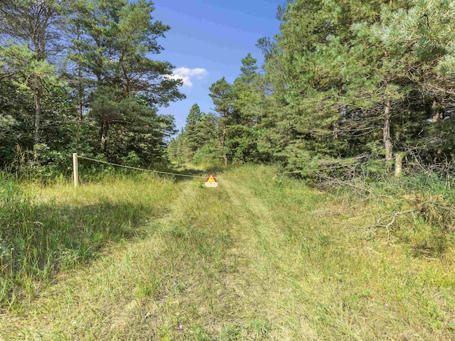 5636 Aarwood Rd, Rapid City, MI 49676 - photo 12
