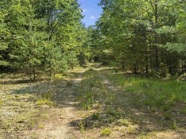 5636 Aarwood Rd, Rapid City, MI 49676 - photo 13