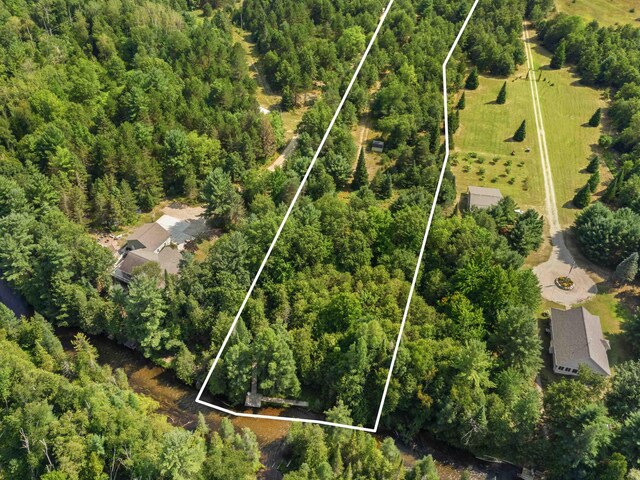 5636 Aarwood Rd, Rapid City, MI 49676 - photo 8