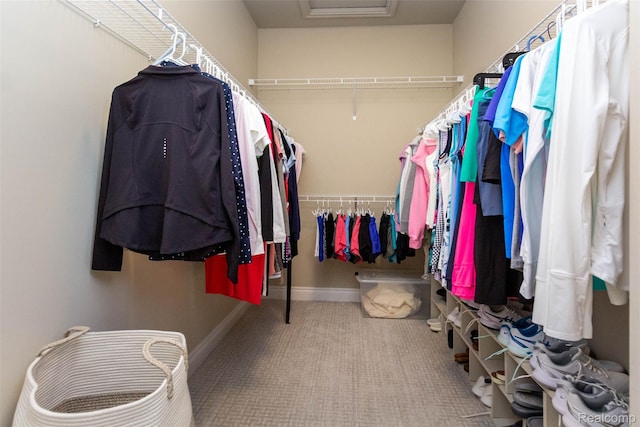 48913 Pinebrook Dr, Utica, MI 48315 - spacious closet with attic access and carpet
