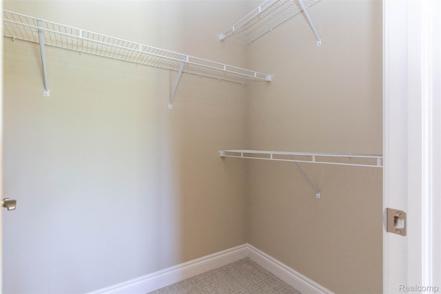 48913 Pinebrook Dr, Utica, MI 48315 - view of walk in closet