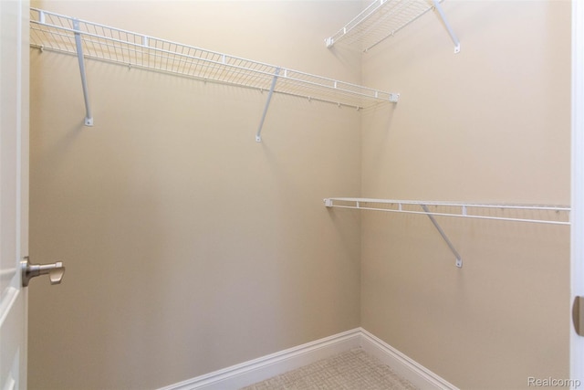 48913 Pinebrook Dr, Utica, MI 48315 - view of walk in closet