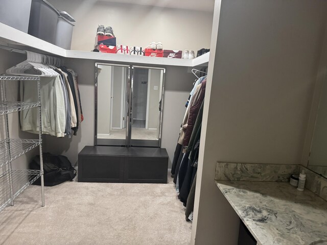 773 Kirts Blvd, Troy, MI 48084 - spacious closet with carpet