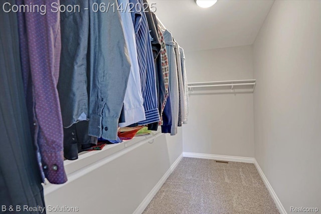 453 Angle Rd, Lapeer, MI 48446 - spacious closet with carpet