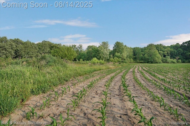 453 Angle Rd, Lapeer, MI 48446 - view of street with a view of countryside and a wooded view
