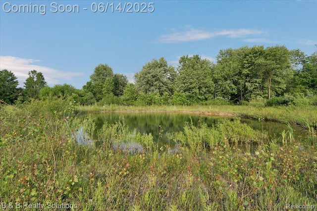 453 Angle Rd, Lapeer, MI 48446 - view of tree filled area featuring a water view