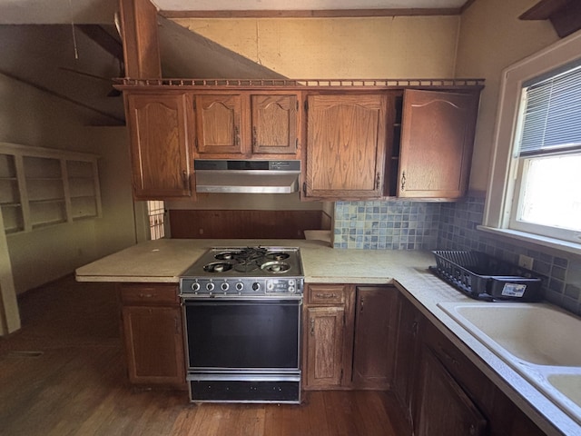 1407 Michigan Ave, Alma, MI 48801 - kitchen with black gas range oven, under cabinet range hood, light countertops, decorative backsplash, and dark wood-style flooring