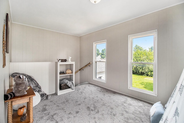 140 W Corey St, Bronson, MI 49028 - carpeted bedroom with multiple windows