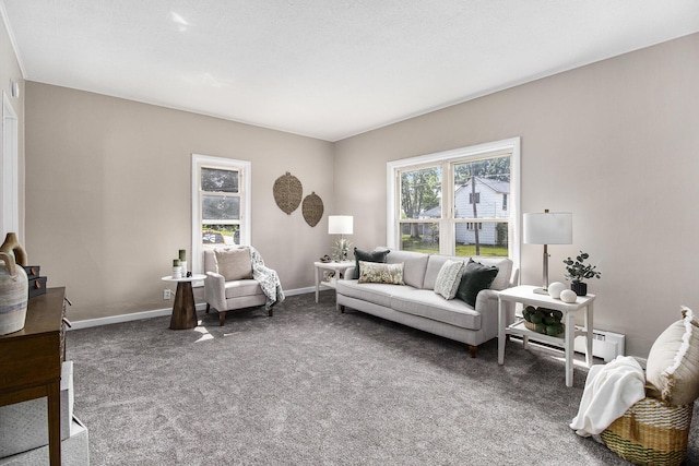 140 W Corey St, Bronson, MI 49028 - living room featuring carpet flooring and a baseboard heating unit