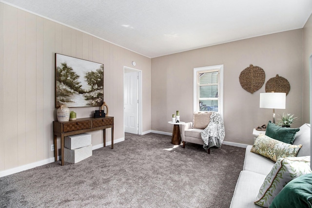 140 W Corey St, Bronson, MI 49028 - sitting room with carpet flooring and wood walls