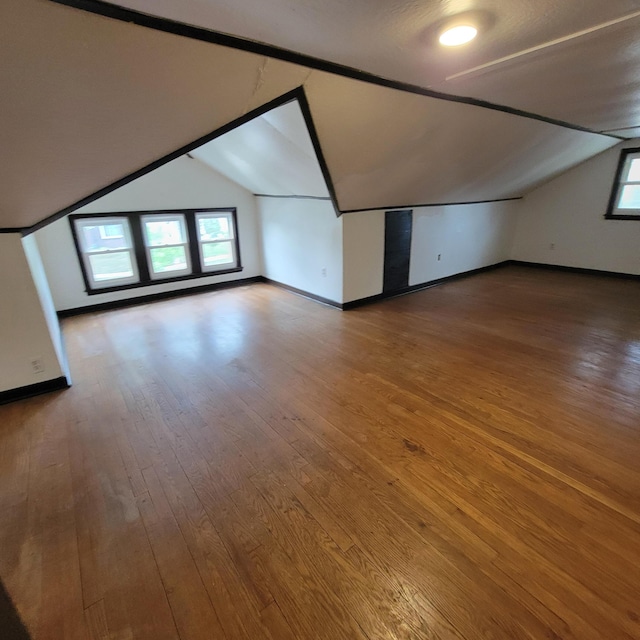 2356 SE Paris, Grand Rapids, MI 49507 - additional living space featuring lofted ceiling, wood-type flooring, and plenty of natural light