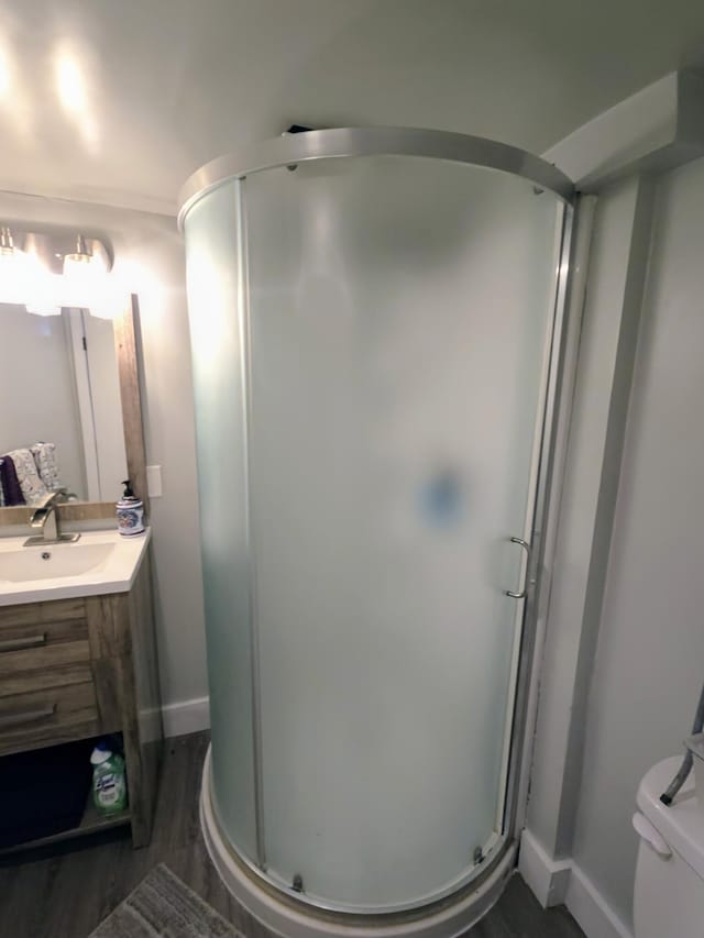 24825 Timber Ridge Trl, Flat Rock, MI 48134 - bathroom with vanity, a stall shower, and wood finished floors