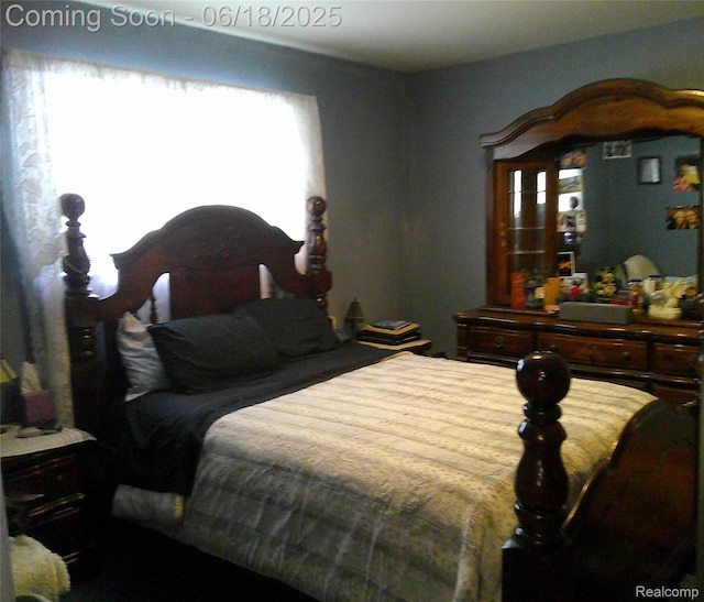 20329 Churchill Ave, Trenton, MI 48183 - view of bedroom