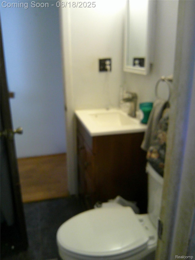 20329 Churchill Ave, Trenton, MI 48183 - bathroom featuring vanity and toilet