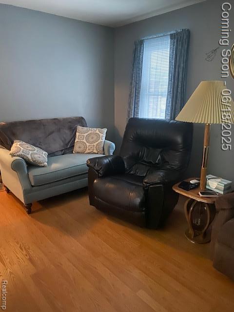 20329 Churchill Ave, Trenton, MI 48183 - living area featuring light wood-type flooring