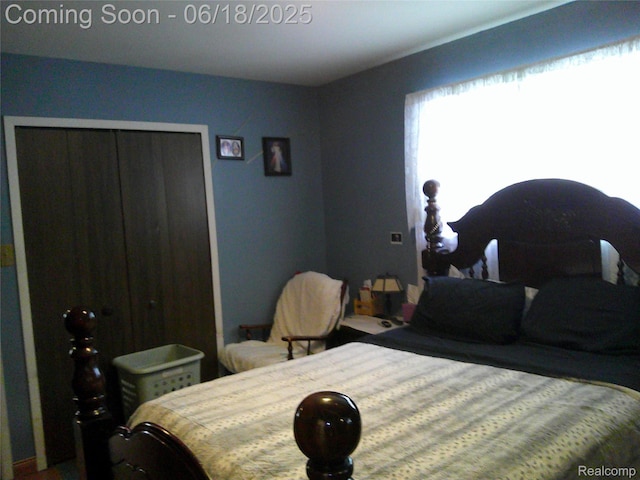 20329 Churchill Ave, Trenton, MI 48183 - bedroom featuring a closet