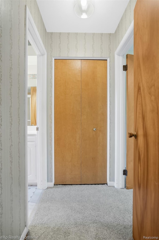 517 S Scott St, Adrian, MI 49221 - corridor featuring wallpapered walls and carpet