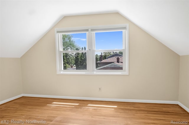 517 S Scott St, Adrian, MI 49221 - additional living space with healthy amount of natural light, wood finished floors, and lofted ceiling