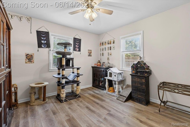 1386 Proper Ave, Burton, MI 48529 - office area featuring healthy amount of natural light, a ceiling fan, and wood finished floors