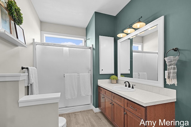 1824 Restoration Dr SW, Byron Center, MI 49315 - full bathroom featuring a shower with door, vanity, wood finished floors, and plenty of natural light