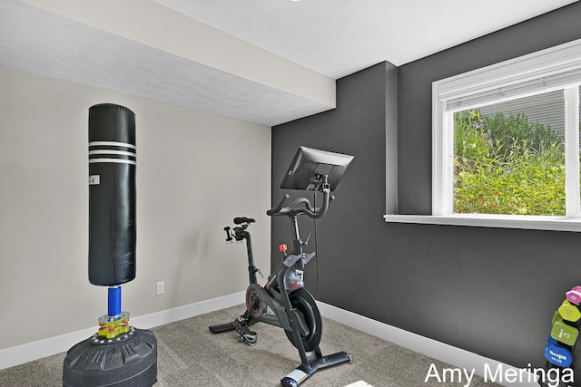 1824 Restoration Dr SW, Byron Center, MI 49315 - workout area featuring carpet floors