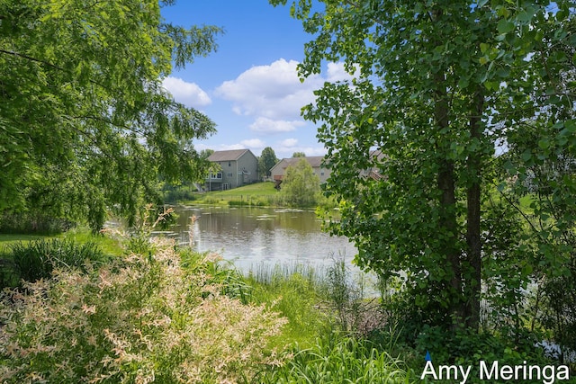 1824 Restoration Dr SW, Byron Center, MI 49315 - water view