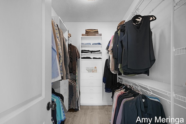 1824 Restoration Dr SW, Byron Center, MI 49315 - walk in closet with wood finished floors
