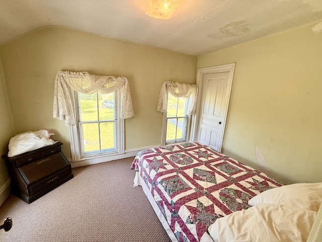 16130 Addison Rd, Addison, MI 49220 - carpeted bedroom with lofted ceiling