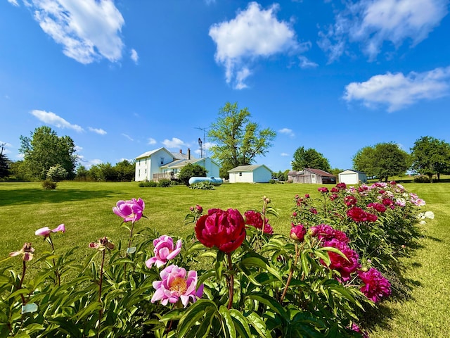 16130 Addison Rd, Addison, MI 49220 - view of grassy yard