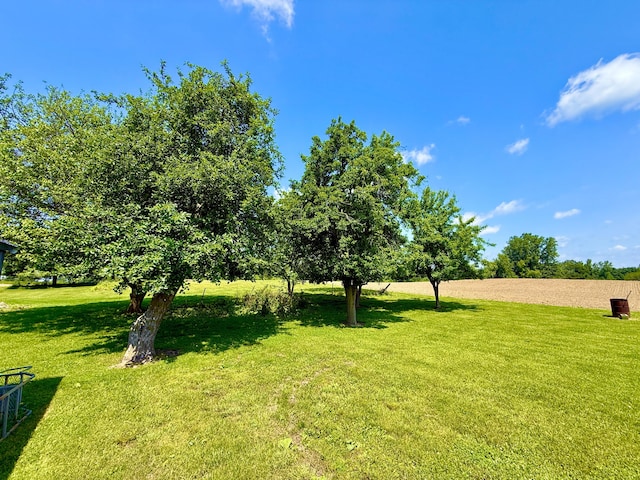 16130 Addison Rd, Addison, MI 49220 - view of grassy yard