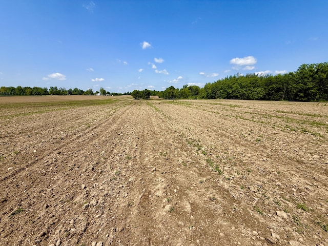 16130 Addison Rd, Addison, MI 49220 - view of dirt / gravel road with a rural view and agricultural plots