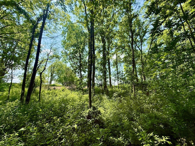 16130 Addison Rd, Addison, MI 49220 - view of nature