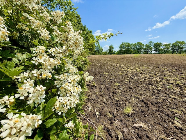 16130 Addison Rd, Addison, MI 49220 - view of local wilderness featuring extensive farmland and rural landscape