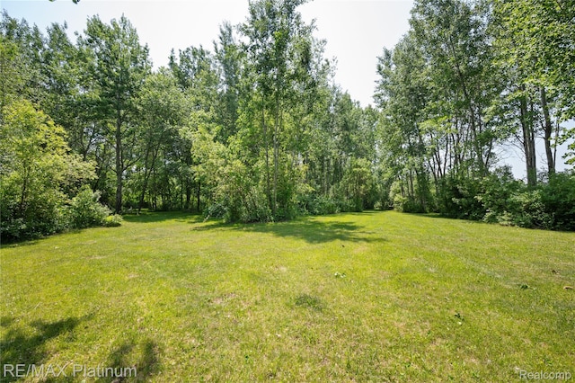 8922 Mcclements Rd, Brighton, MI 48114 - view of green lawn
