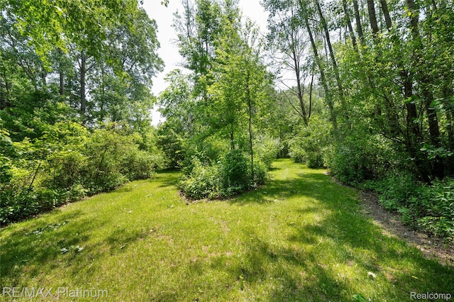 8922 Mcclements Rd, Brighton, MI 48114 - view of green lawn