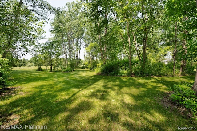 8922 Mcclements Rd, Brighton, MI 48114 - view of green lawn