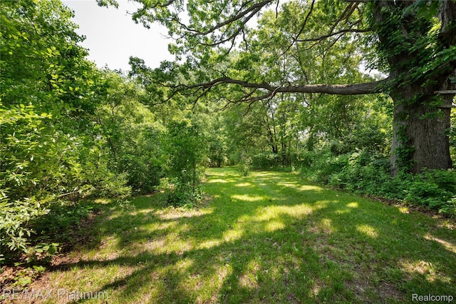 8922 Mcclements Rd, Brighton, MI 48114 - view of grassy yard with a wooded view