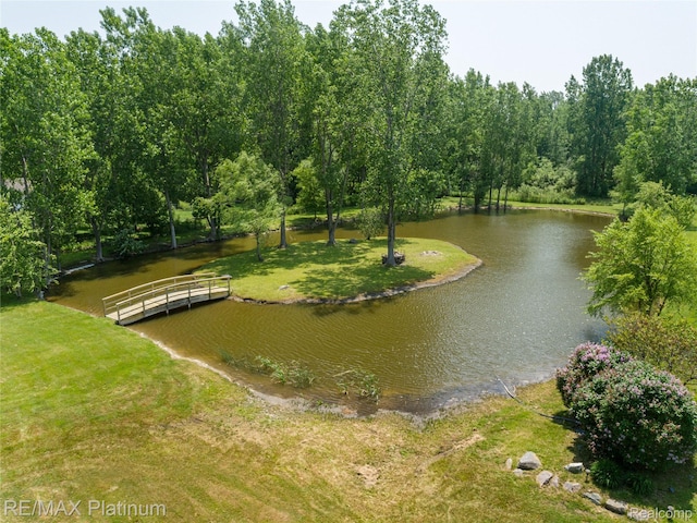 8922 Mcclements Rd, Brighton, MI 48114 - water view