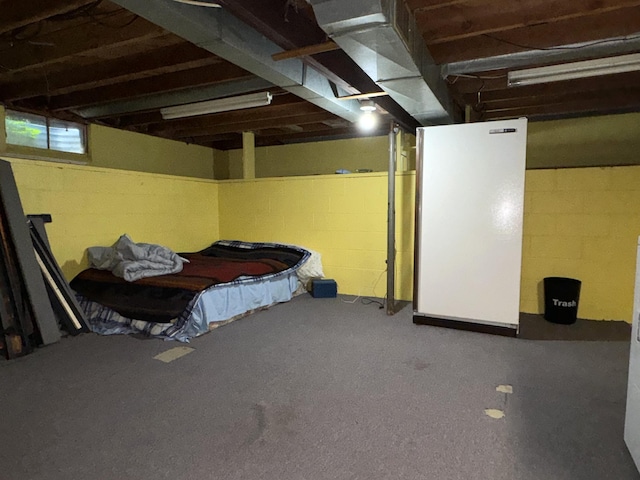 1225 Huntly Rd, Niles, MI 49120 - view of below grade area