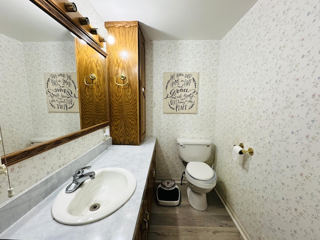 1225 Huntly Rd, Niles, MI 49120 - half bath with wallpapered walls, vanity, and wood finished floors
