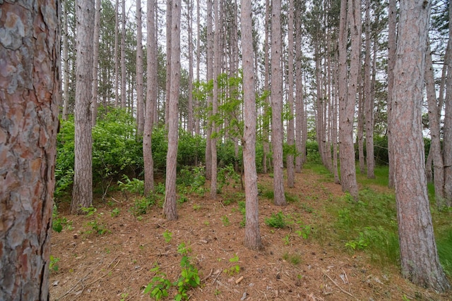 3750 River Rd, Manistee, MI 49660 - view of nature