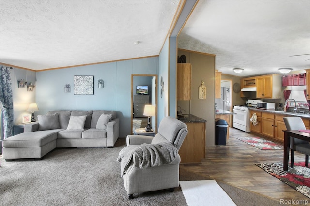 13482 Pear St, Carleton, MI 48117 - living area with a textured ceiling, crown molding, and wood finished floors