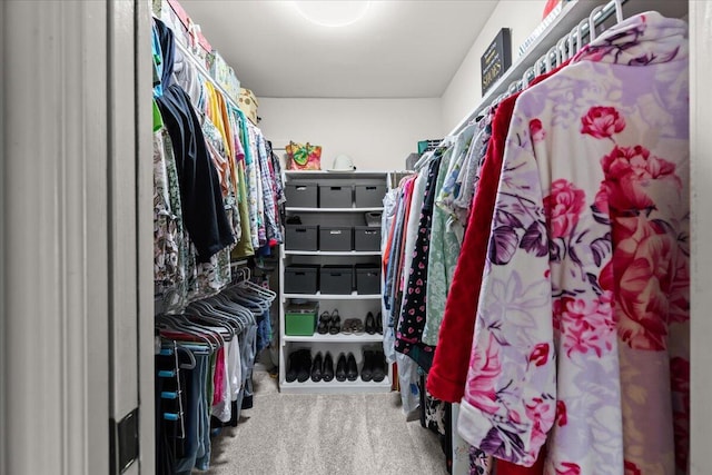 21112 Boulder Cir, Northville, MI 48167 - walk in closet with carpet flooring