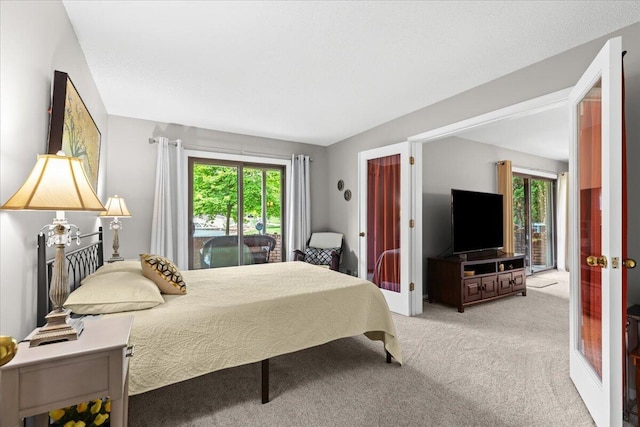 21112 Boulder Cir, Northville, MI 48167 - bedroom with carpet and access to exterior