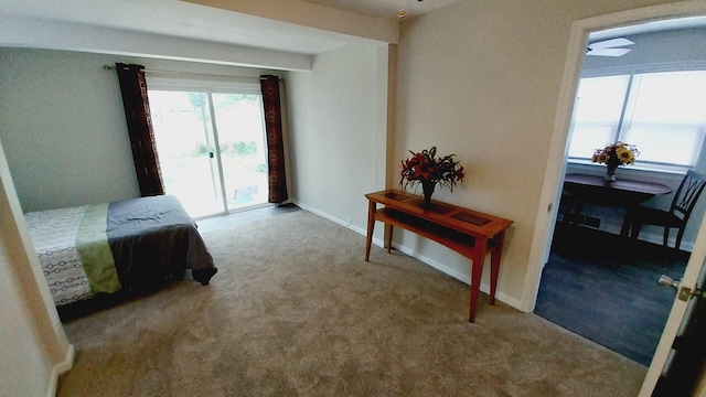 1418 Stamford Ave, Kalamazoo, MI 49048 - bedroom featuring carpet flooring and access to exterior