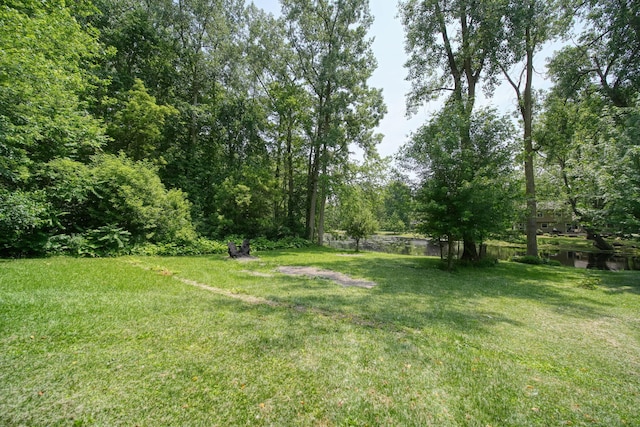 4787 Hooks Mill Rd, Adrian, MI 49221 - view of grassy yard