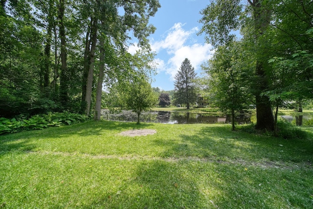 4787 Hooks Mill Rd, Adrian, MI 49221 - view of green lawn with a water view